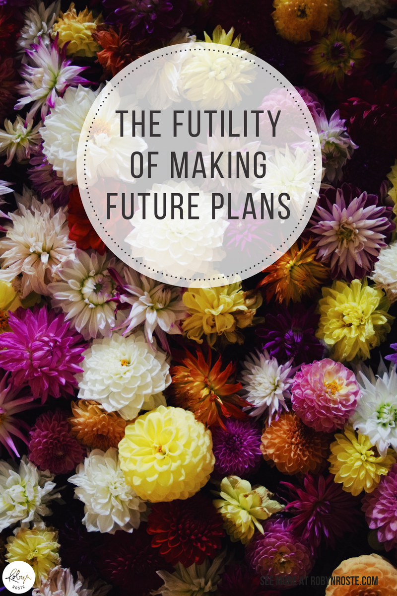 I love talking about future plans but now I realize I really don't know what I'm talking about. Just two days ago my future plans included a trip to Malta next summer. Two days. And now? Here's how my future plans are looking...