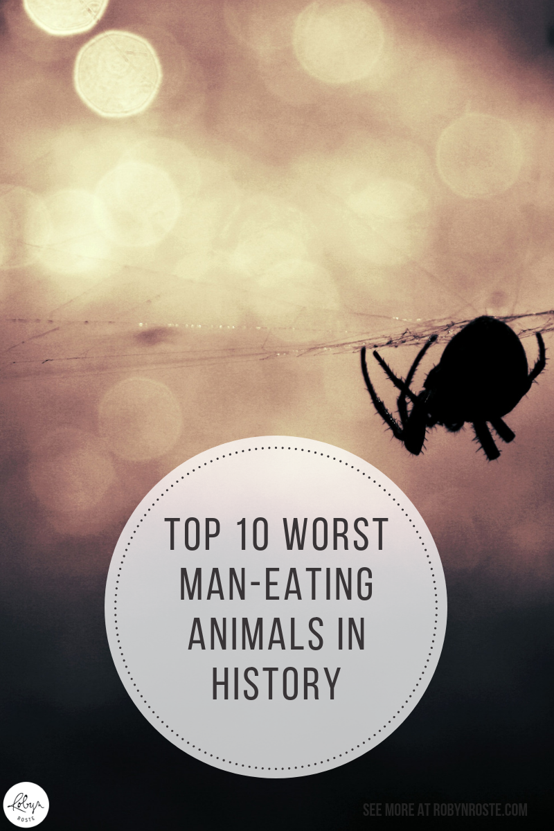 If you're anything like me you spend a lot of time worrying about man-eating animals. It may or may not comfort you to learn they do exist and there are entire websites about them. Yay...