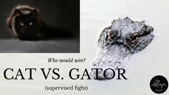 cat vs. gator