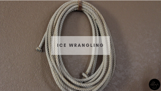 Ice Wrangling