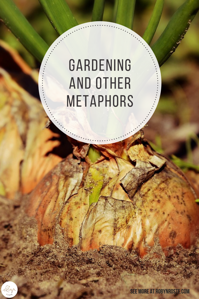 This is a post about gardening and other metaphors that occurred to me once I started trying to learn how to vegetable garden. Sigh.