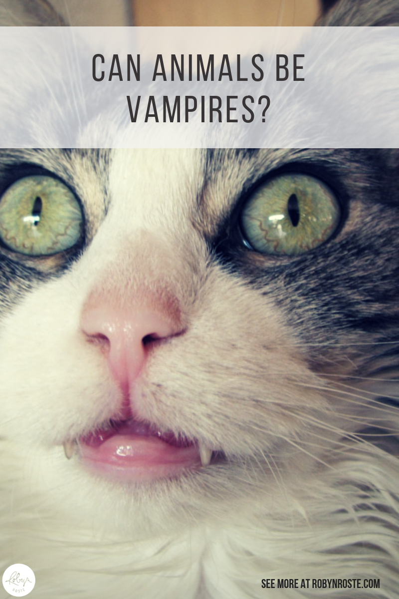 The question of the day is can animals be vampires? I mean, you've wondered this before right? Let's get to the answer. Strictly speaking, no. But yes.