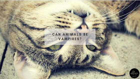 Can Animals be Vampires